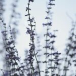 Photo Media queries