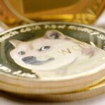 Photo Dogecoin meme