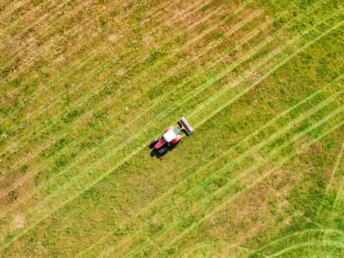 Photo Agricultural field