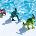 Photo Staking Pool