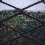 Photo "Best Practices for Managing Web Project Dependencies"