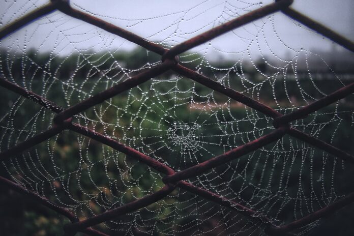 Photo "Best Practices for Managing Web Project Dependencies"