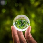 Photo AI and Sustainability: Innovations to Combat Climate Change by 2025