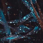 Photo "Understanding Deep Learning: Techniques and Applications"