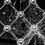 Photo The Importance of Decentralization in Cryptocurrency