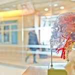 Unlocking the Power of Neuro-Symbolic AI Integration Photo Brain circuitry