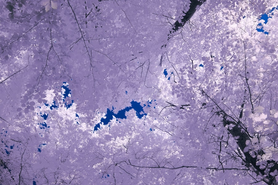 Satellite data