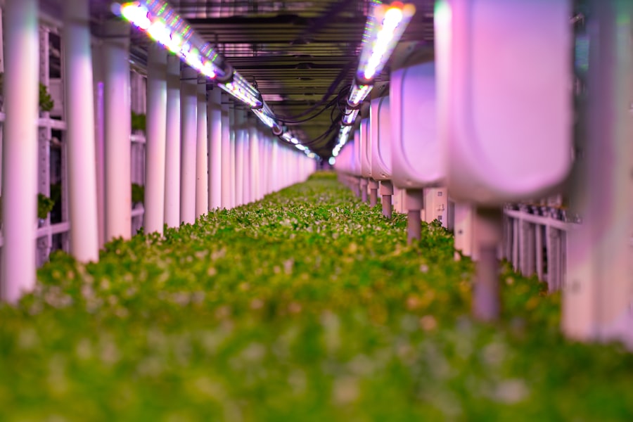 Automated Farming