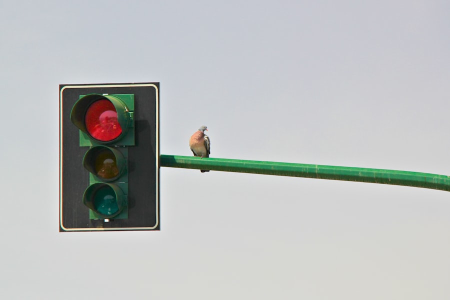 Smart traffic lights