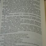The Future of Language Translation: AI’s Impact Photo Language model