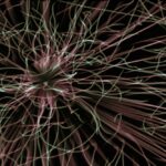 Photo Complex neural network