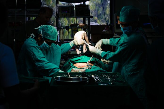 image-386 Photo Surgical robot