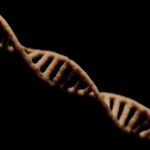 Advancing Genetic Engineering: Navigating Ethical Dilemmas in Technology Photo Gene editing