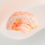 The Future of Neuromorphic Computing: A Glimpse into 198 Photo Brain-inspired chips