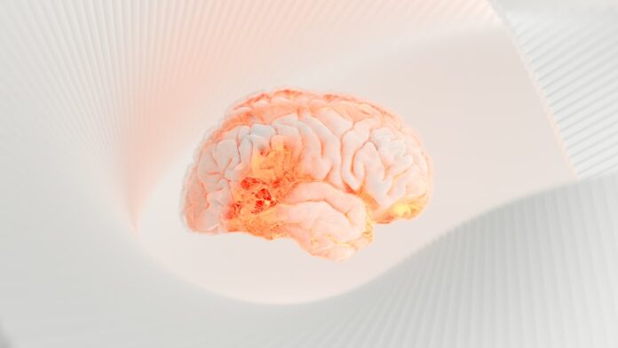 image-392 Photo Brain-inspired chips