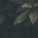Photo Key Takeaways