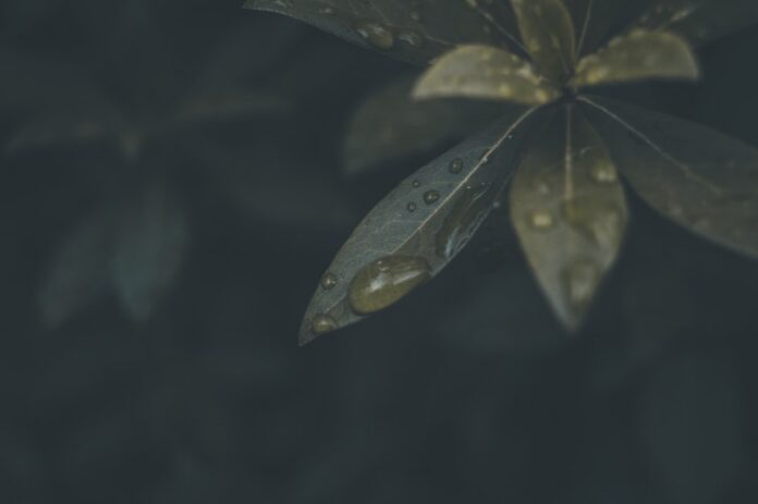Photo Key Takeaways