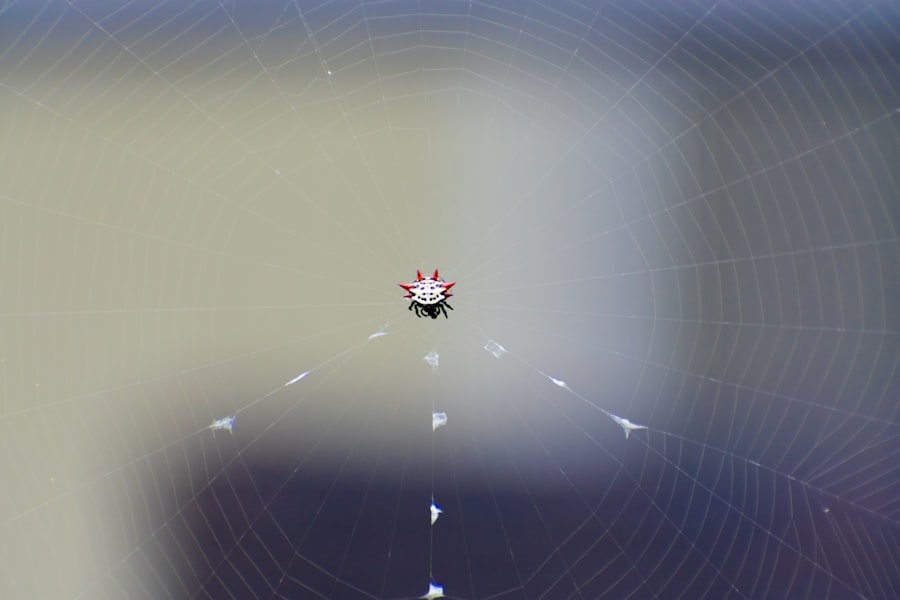 Photo Player tracking