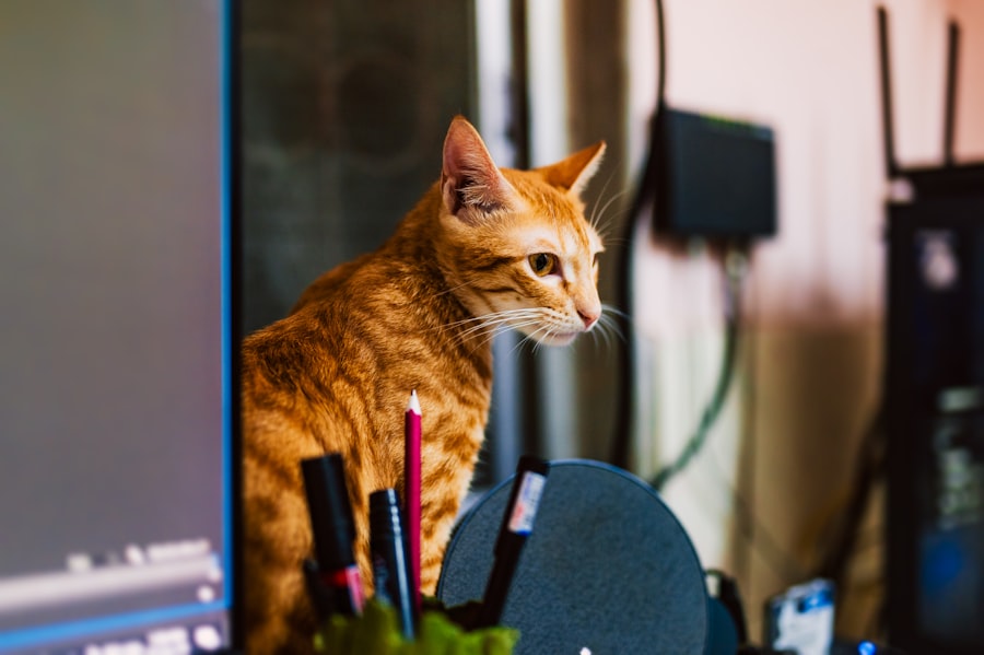 Photo AI Assistant