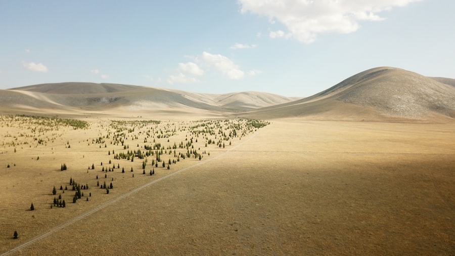 Photo Virtual battlefield