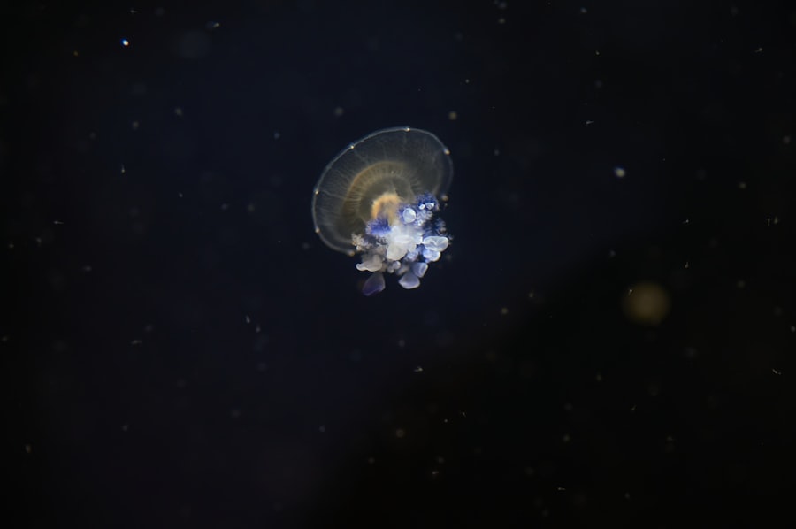 Photo Satellite orbiting