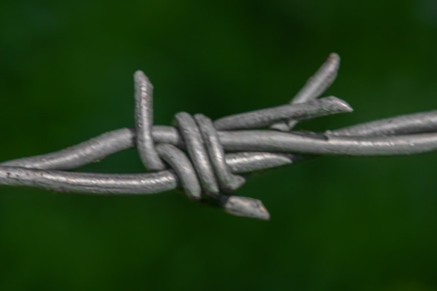 Photo Authority Links
